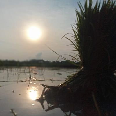 santoso's profile picture