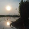 santoso 的头像