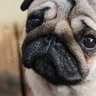 自然 profil fotoğrafı