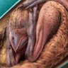 動物園児 profil fotoğrafı