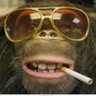 Smoking Banana Peels's profile picture