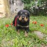 Hombre del Campo C4.'s profile picture