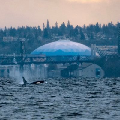 airwaterlandcom's profile picture