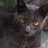 IsabelM81835061 profil fotoğrafı