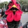 Rob's profile picture