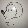 橋本てつ profil fotoğrafı