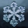 Iceman of Crypto's profile picture