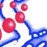 Sras India's profile picture