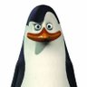Profilbild von Mateusz