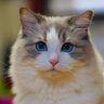 Og3 profil fotoğrafı