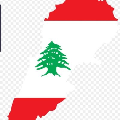 BassamAbouZeid's profile picture