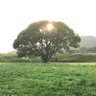 まる profil fotoğrafı