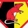 Hornets talk's profile picture