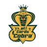 Cards Cobra's profile picture