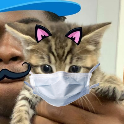 FlyingKittyy's profile picture