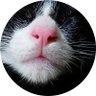 Profilbild von いつの間にか62歳(当年とって72歳♪)