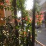 @S_BJ profil fotoğrafı