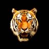 虎徹6ꉂꉂ🐯 profil fotoğrafı