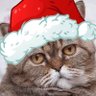დმ(デェエム)'s profile picture
