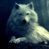 Фото профиля ilteriş legacy☪®🐺