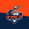Tigers ML Report 的头像