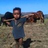 Profilbild von አሌፍ