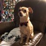 Samantha's profile picture