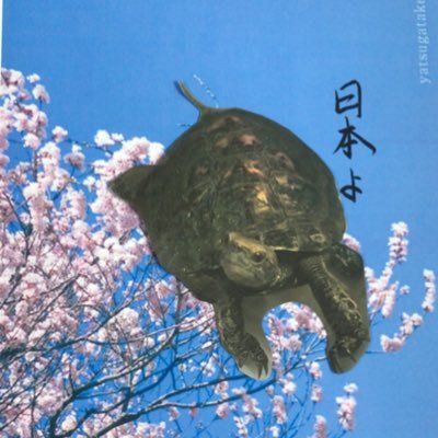 sanuesaru's profile picture
