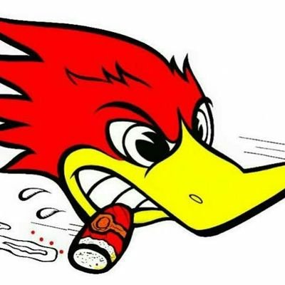 Satánico Dr Cadillac ⍽ 🦬's profile picture
