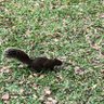 ?? ? profil fotoğrafı