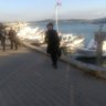 Gülistan Demirel's profile picture