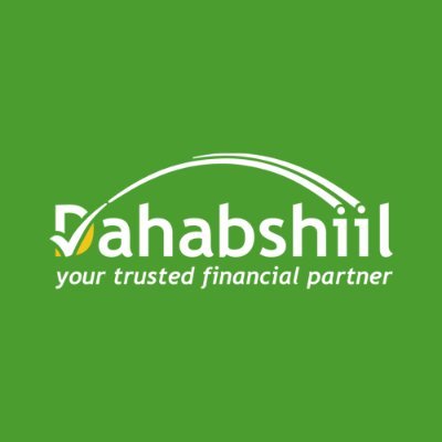 Dahabshil's profile picture