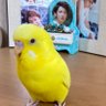 Фото профиля さとりな