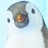 Mateusz's profile picture