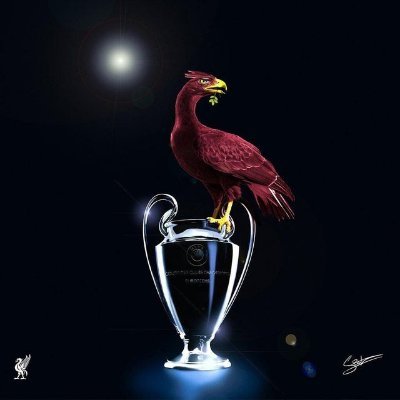 LFCZA's profile picture