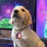 Destiny's profile picture