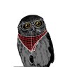 White Tower Owl profil fotoฤrafฤฑ