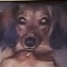Profilbild von Andrew Florez