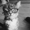 taila's profile picture