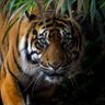 Joan Anderson's profile picture