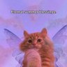 🐈⬛ 的头像