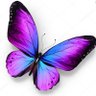 }i{ Mariposita ۞💚🤍💚's profile picture