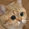 Itbe Silly profil fotoğrafı