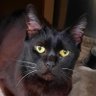 Elaine's profile picture