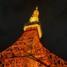 PE Japan's profile picture