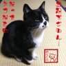 キジ太郎 的头像
