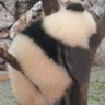 JUNKO profil fotoğrafı
