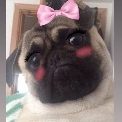 Pisisavar's profile picture