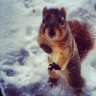 Rusty Rootbeer profil fotoğrafı