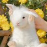 打胖鱼's profile picture